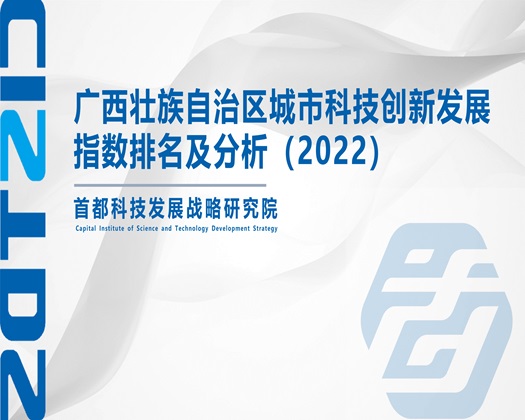 鸡鸡插入网站【成果发布】广西壮族自治区城市科技创新发展指数排名及分析（2022）